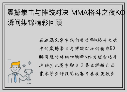 震撼拳击与摔跤对决 MMA格斗之夜KO瞬间集锦精彩回顾