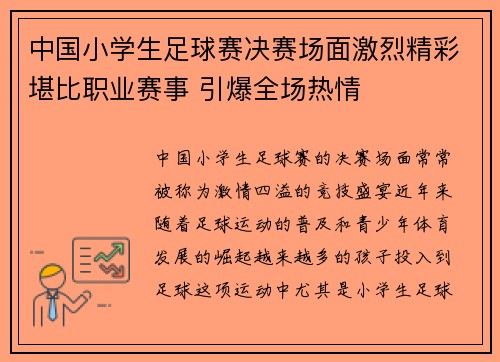 中国小学生足球赛决赛场面激烈精彩堪比职业赛事 引爆全场热情