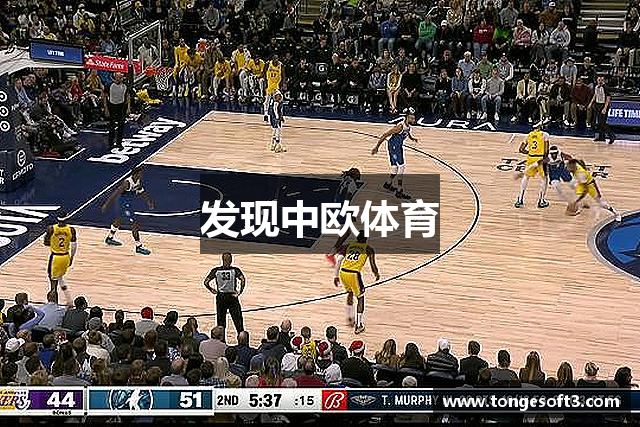发现中欧体育